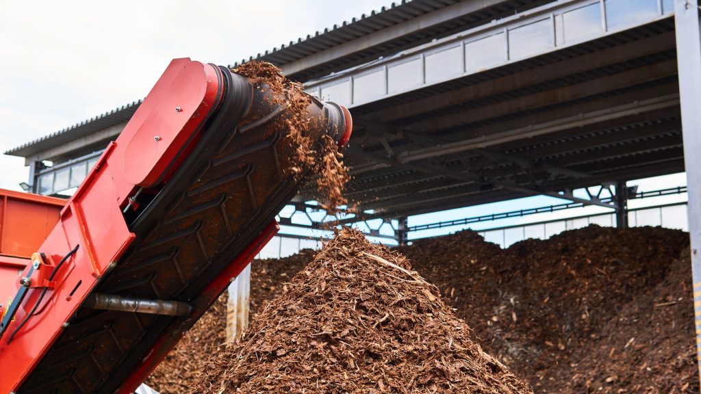 conveyor of industrial woodchipper producing wood chips