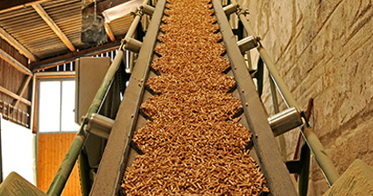 Wood pellets on a conveyor.